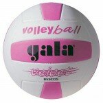 Мяч волейбольный Gala Velvet BV5023S