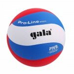 Мяч волейбольный Gala Pro-Line 10 FIVB BV5591S р.5