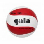 Мяч волейбольный Gala Bora 10 BV5671S р.5