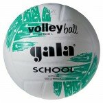 Мяч волейбольный Gala School BV5031L р.5